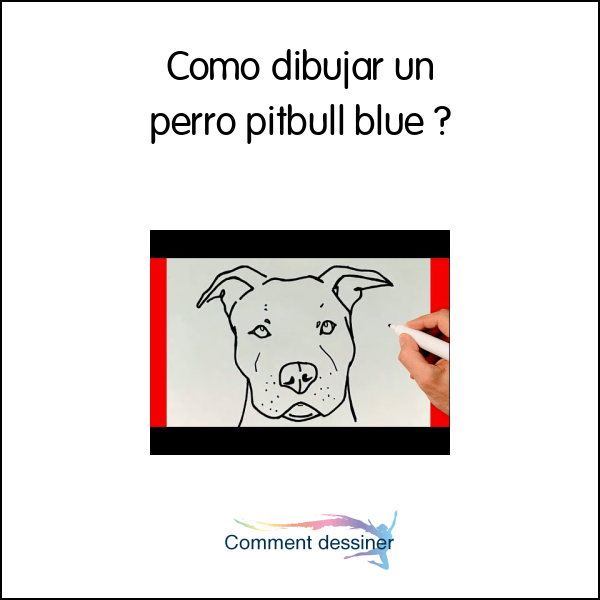 Como dibujar un perro pitbull blue